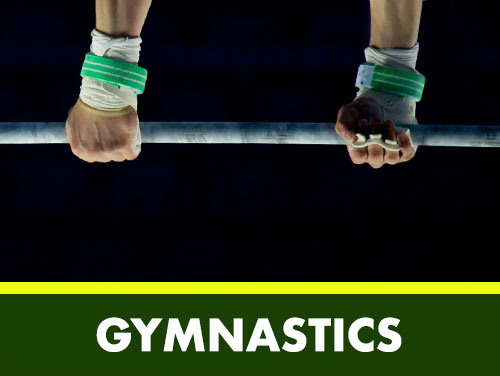 Gymnastics